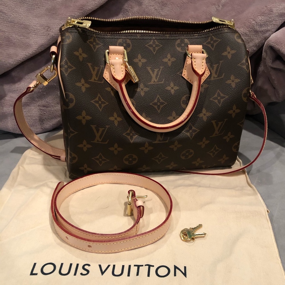 Louis Vuitton Brown and Tan Shoulder Bag